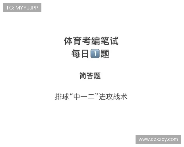 成都排球队的转换打法深度解析与战术创新探讨